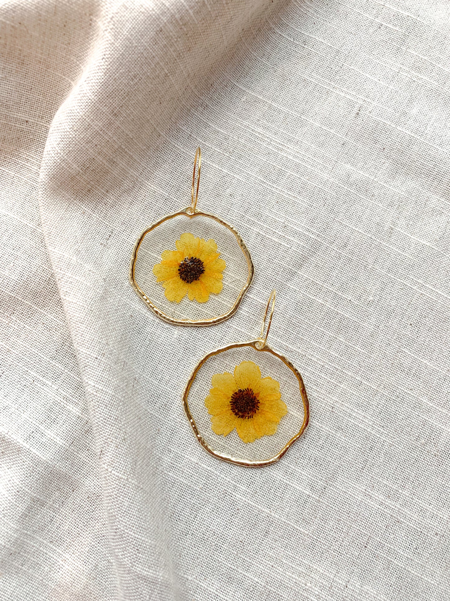 Chrysanthemum Sun Dangle